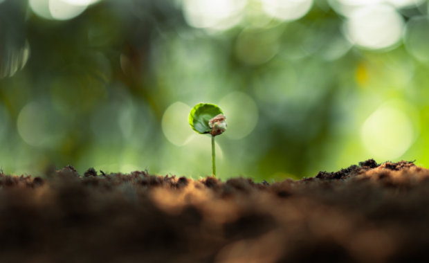 環境負荷低減に向けた取り組み