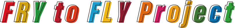 FRY to FLY Project キービジュアル