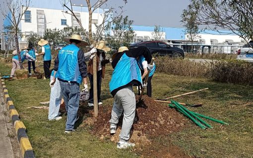 中国・龍山工場での緑化活動