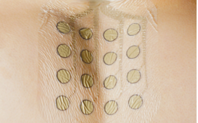 Vital Signs Monitor (ECG)
